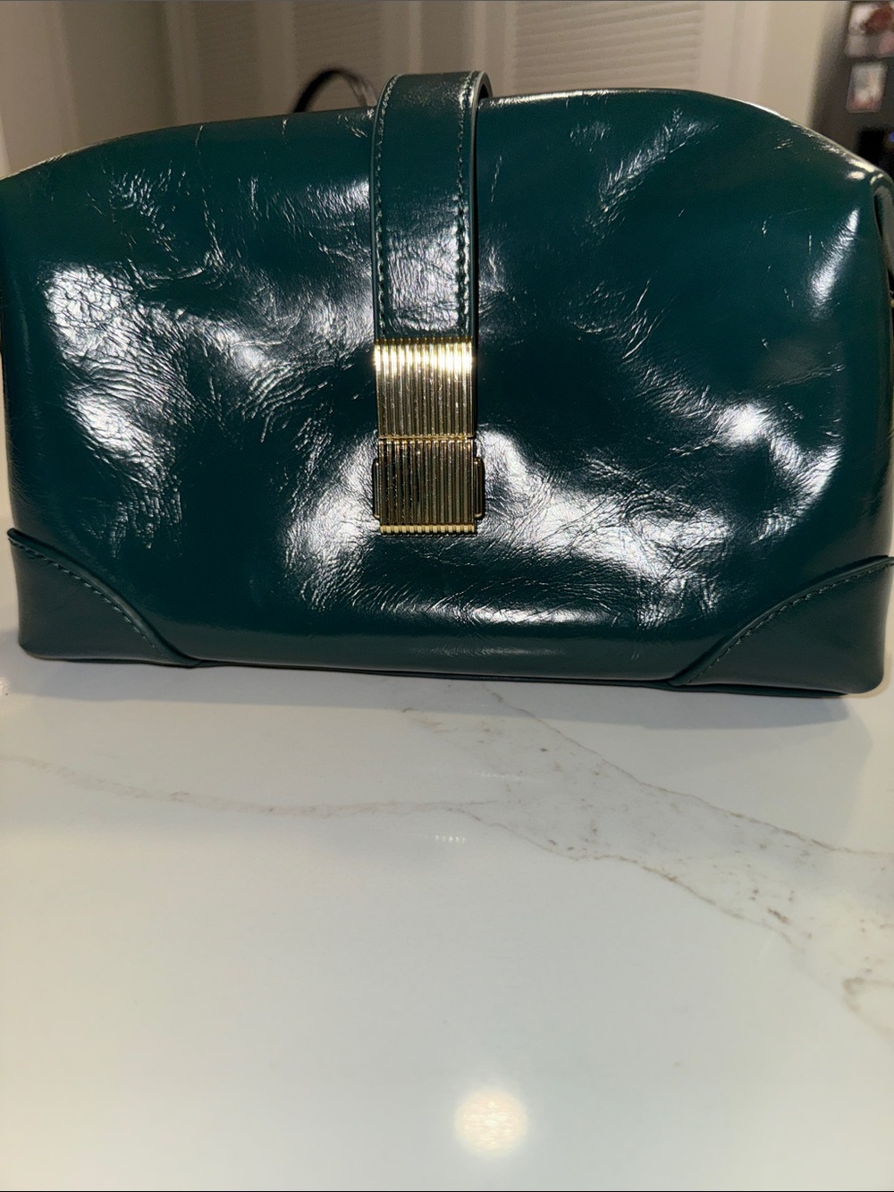 Amy Shehab Green Toiletry bag with Gold Accent - Picture 2 of 3